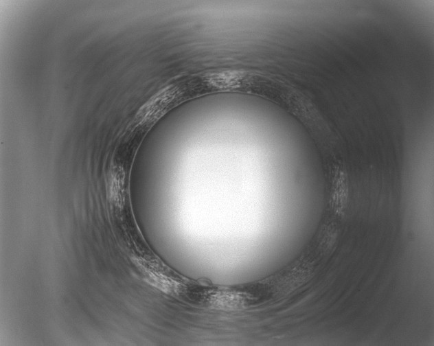 X0000086040332200703301046