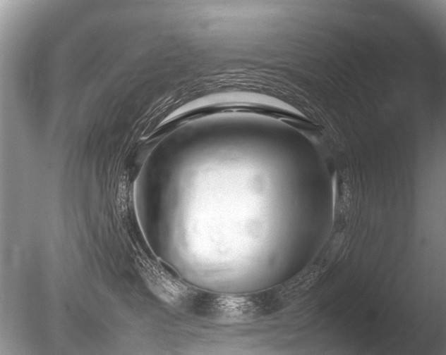 X0000086040333200703301046