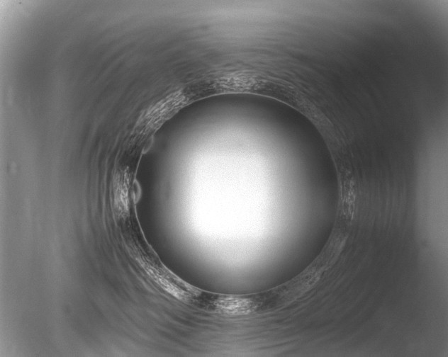 X0000086040334200703301046