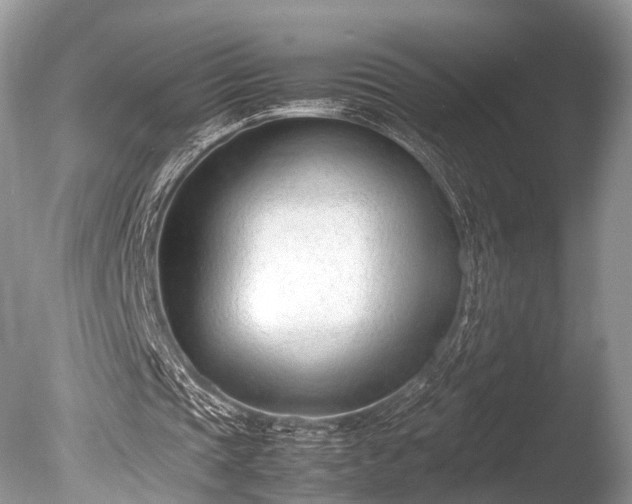 X0000086040337200703301045