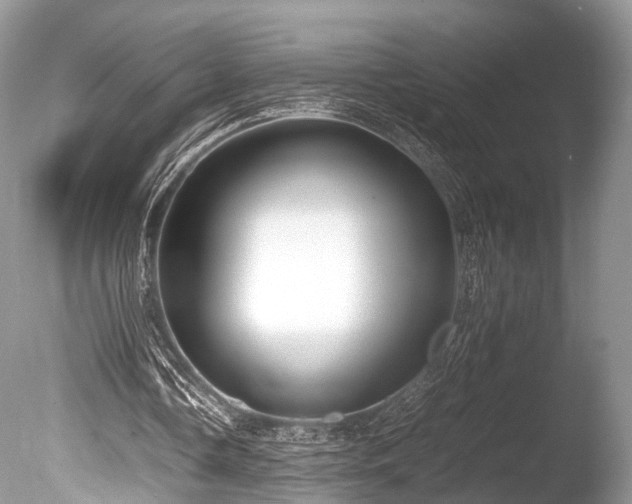 X0000086040338200703301045