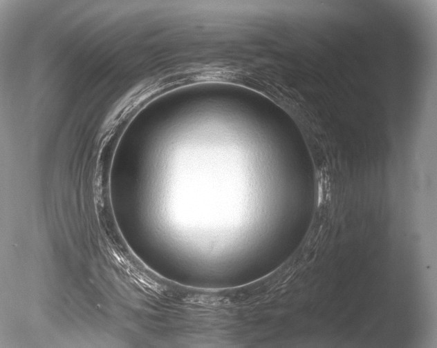 X0000086040339200703301045