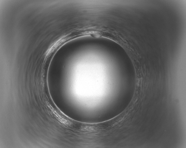 X0000086040341200703301045