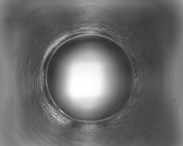 X0000086040342200703301045