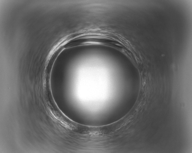 X0000086040344200703301045