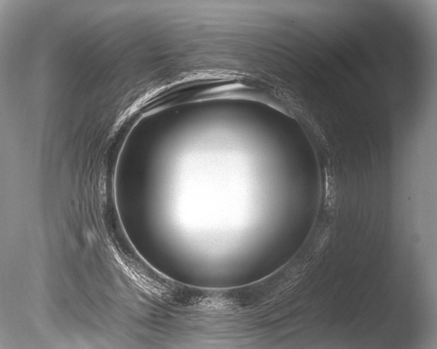 X0000086040348200703301045