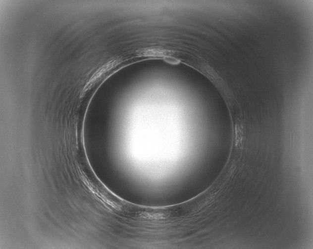 X0000086040349200703301045