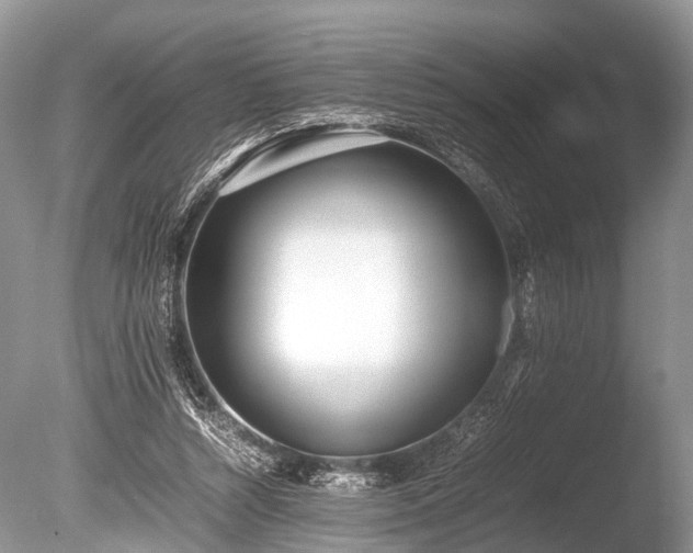 X0000086040352200703301045