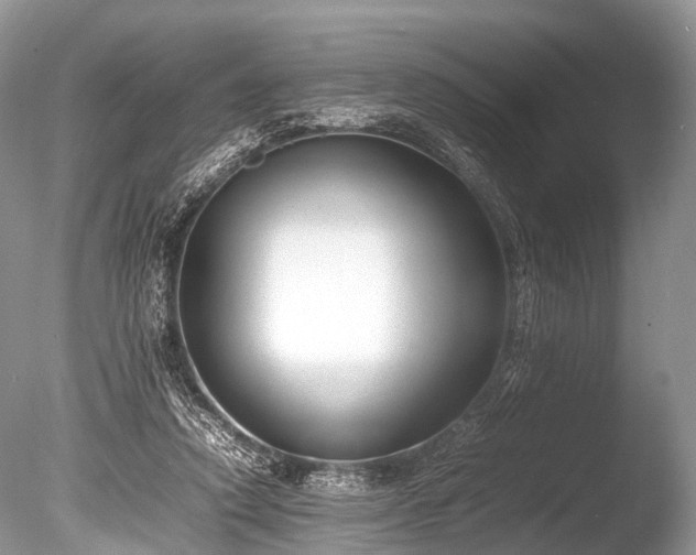X0000086040354200703301045