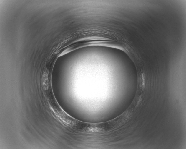 X0000086040360200703301045