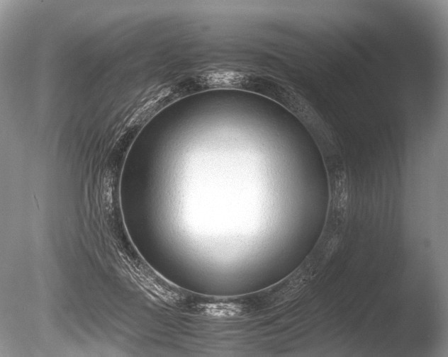 X0000086040363200703301045