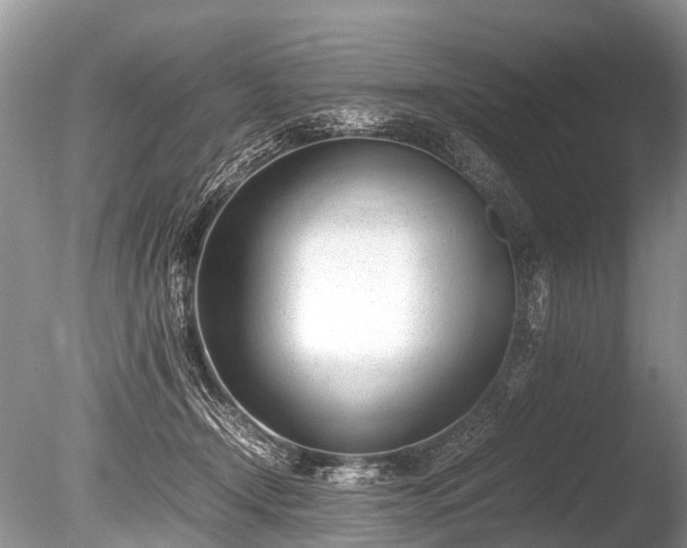 X0000086040366200703301045