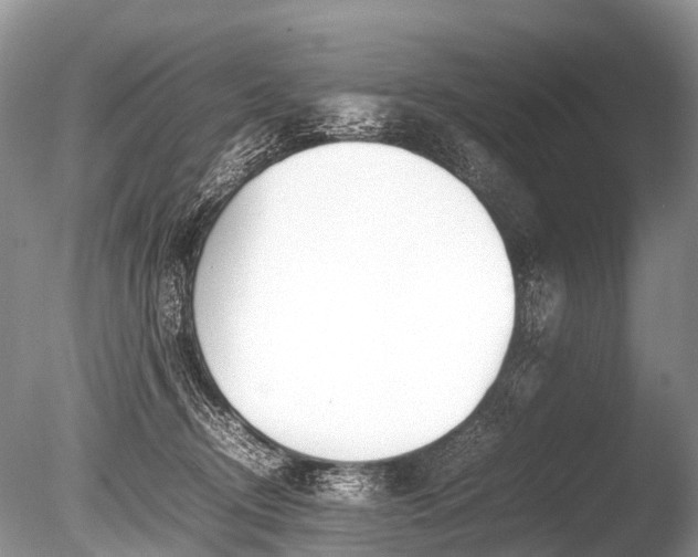 X0000086040370200703301046