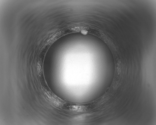 X0000086040371200703301046