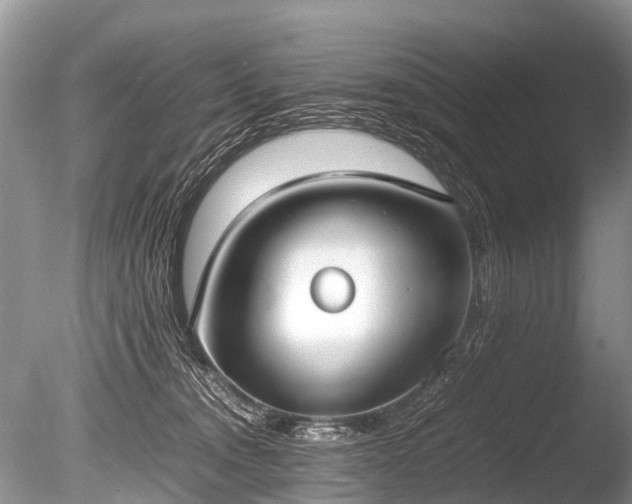X0000086040372200703301046