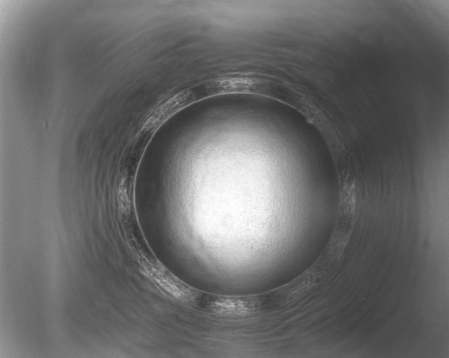 X0000086040381200703301046