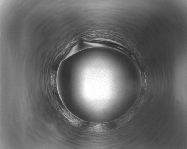 X0000086040382200703301046