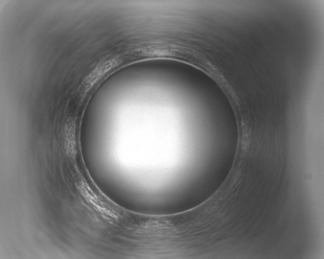 X0000086040386200703301045