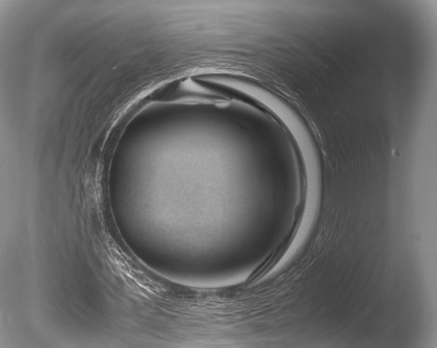 X0000086040387200703301045