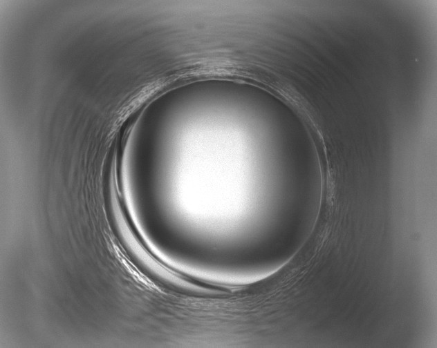 X0000086040389200703301045