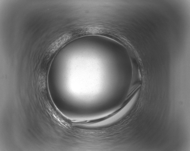 X0000086040393200703301045