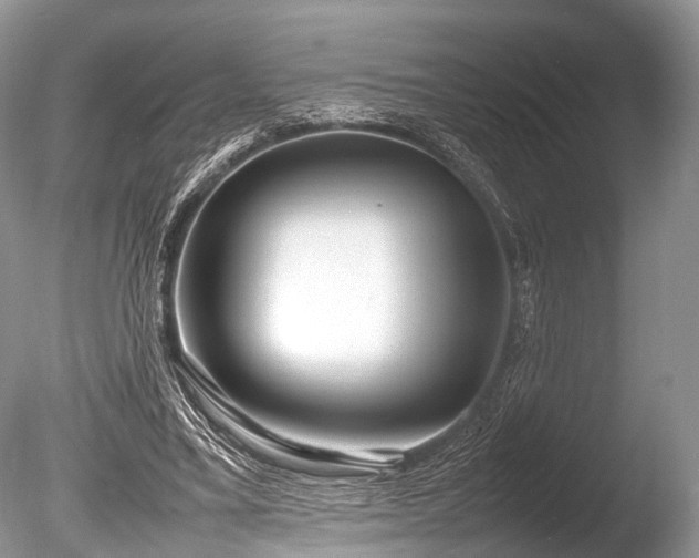 X0000086040395200703301045