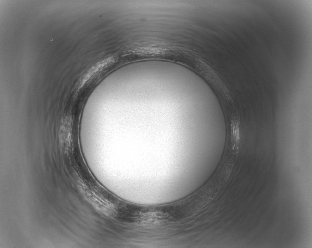 X0000086040396200703301045