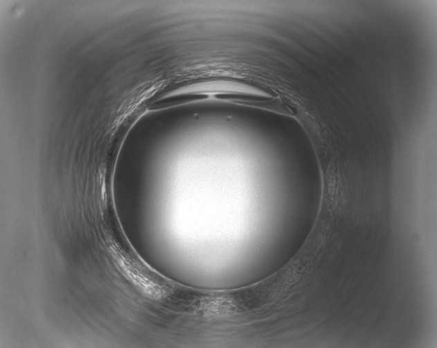 X0000086040398200703301045