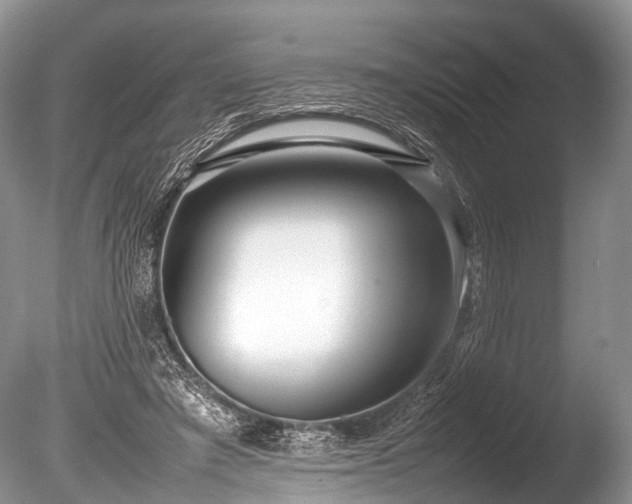 X0000086040401200703301045