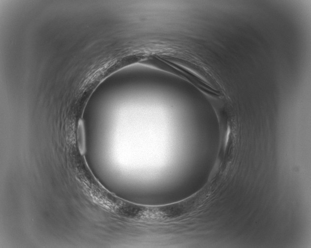 X0000086040403200703301045