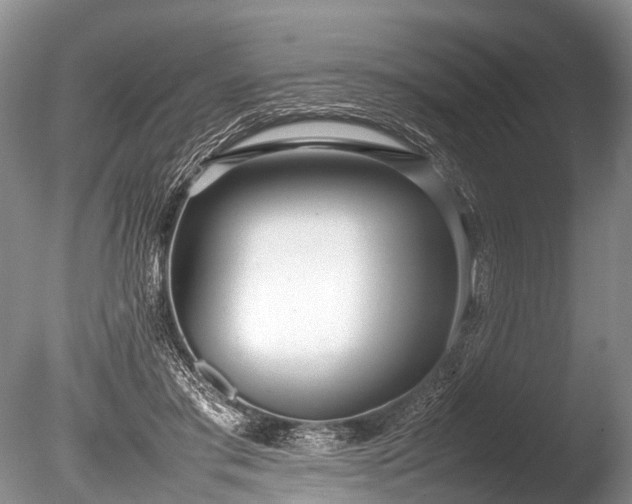 X0000086040405200703301045
