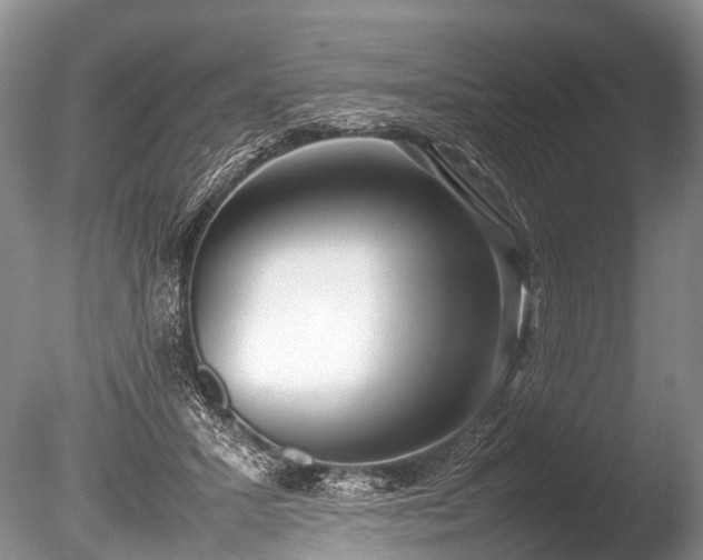X0000086040407200703301045