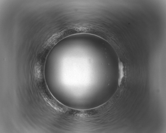 X0000086040408200703301045