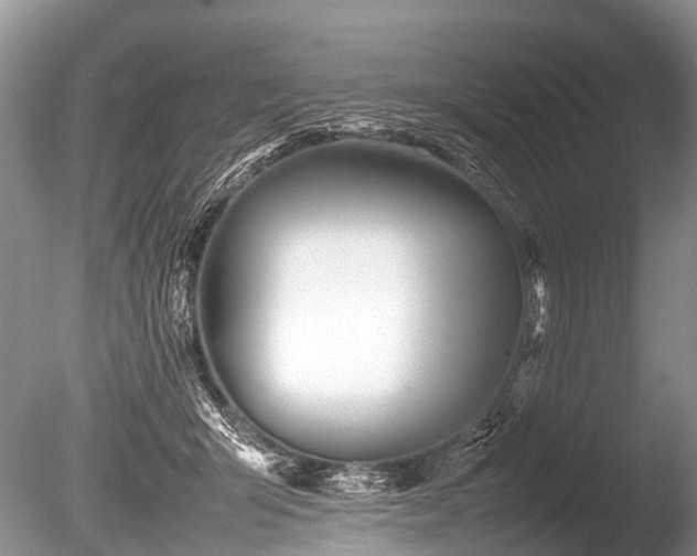 X0000086040415200703301044