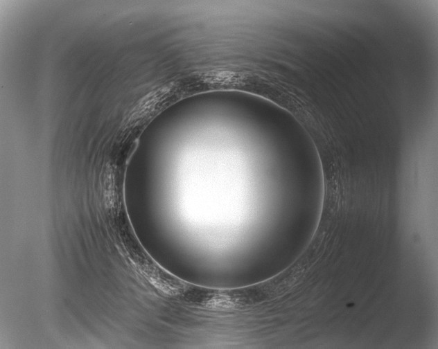 X0000086040416200703301044