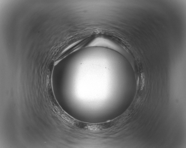 X0000086040417200703301044