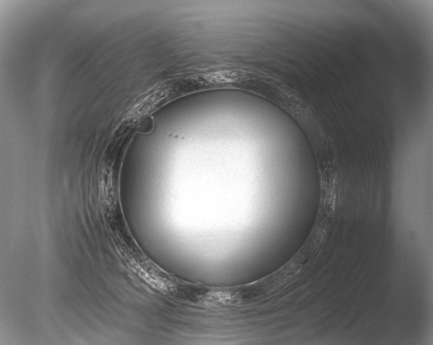 X0000086040418200703301044