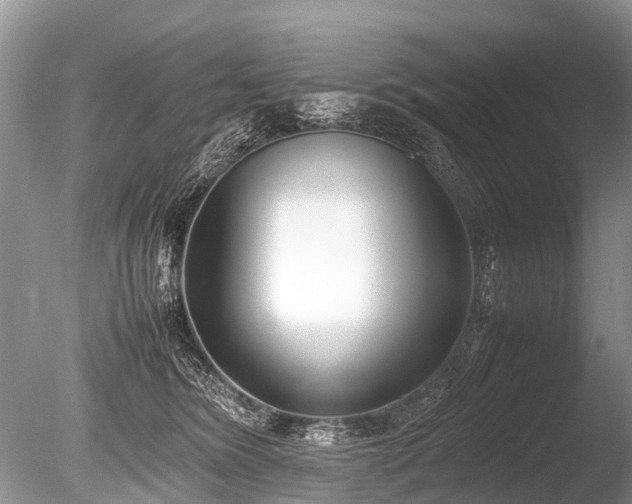 X0000086040420200703301044