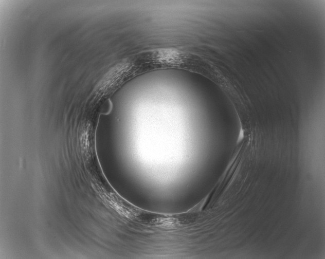 X0000086040424200703301044