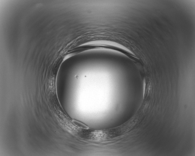 X0000086040425200703301044