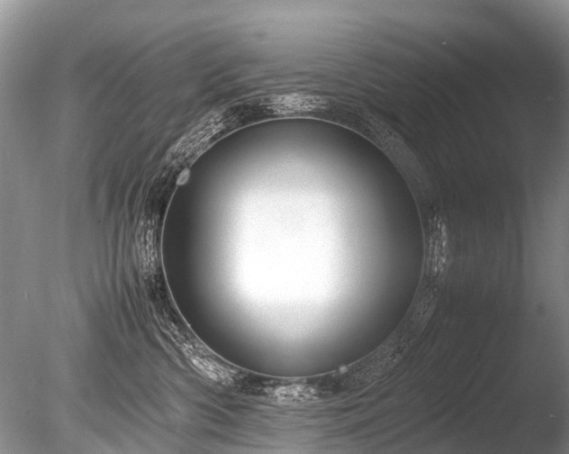 X0000086040426200703301044
