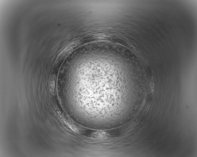 X0000086040427200703301044