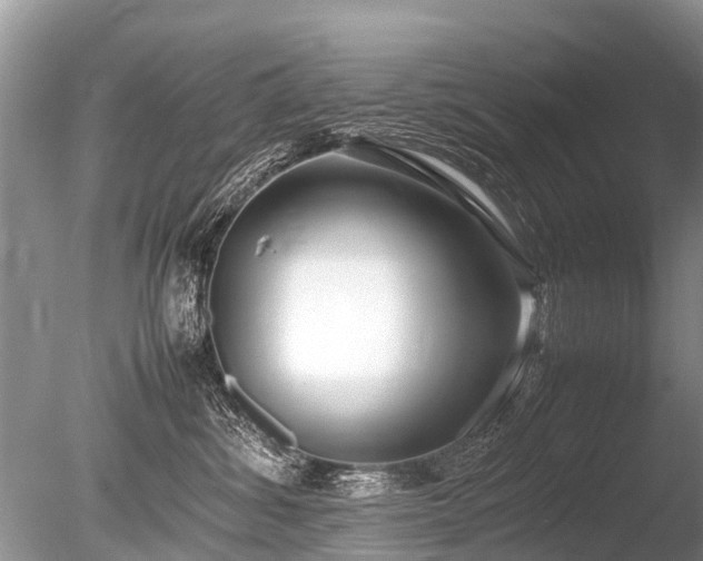 X0000086040428200703301044