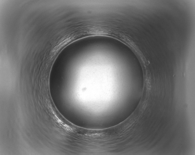 X0000086040433200703301043