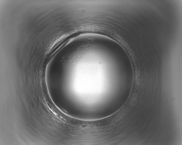 X0000086040434200703301043