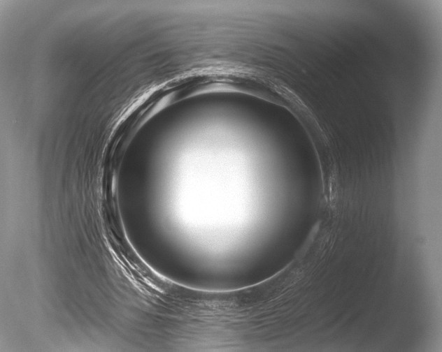 X0000086040436200703301043
