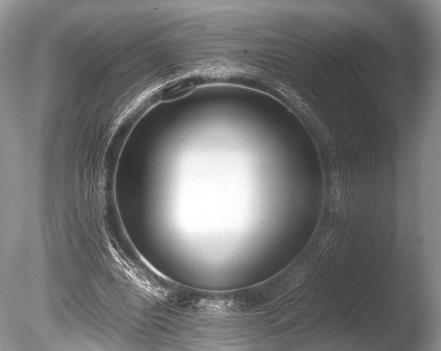 X0000086040440200703301043