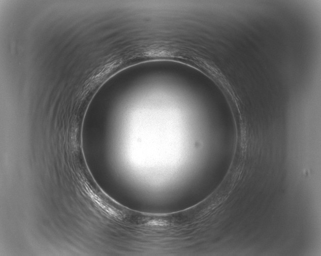 X0000086040441200703301043