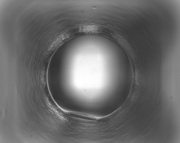 X0000086040449200703301044