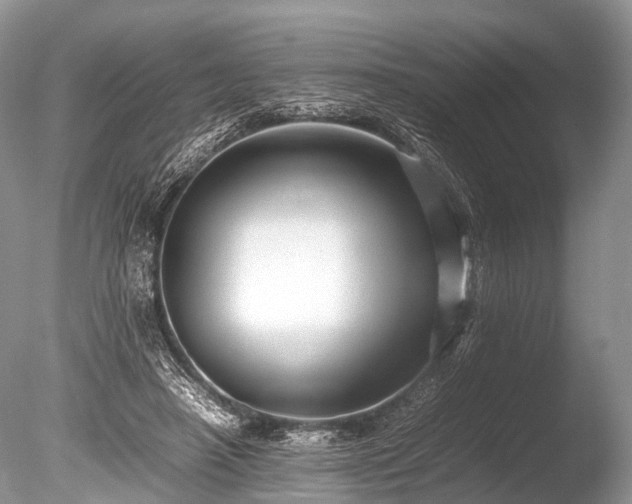 X0000086040450200703301044